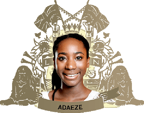 adaeze-home-x1