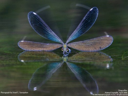fotos espectaculares de national geographic