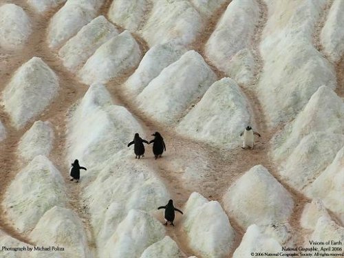 fotos espectaculares de national geographic