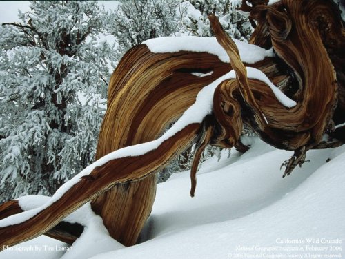 fotos espectaculares de national geographic