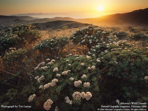 fotos espectaculares de national geographic