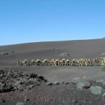 Viajes baratos a Canarias