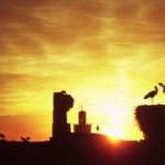 Viajes baratos Tanger